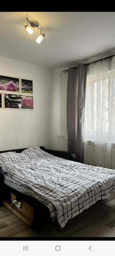 Zenapartment Brašov Exteriér fotografie